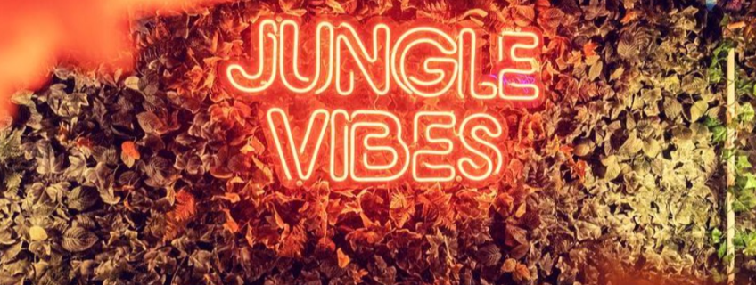 The Jungle Valencia-Valencia-Internet Service Provider-2 The Jungle Valencia-Valencia-Internet Service Provider-2