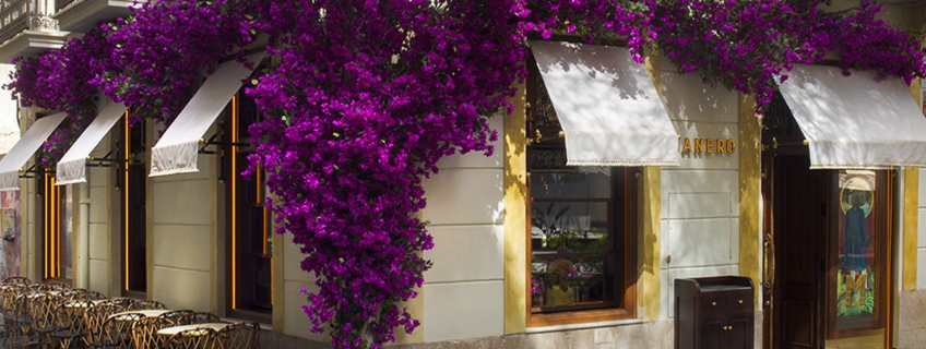 Manero Alicante - Balmis-Alicante-Tapas Bar & Restaurant-2