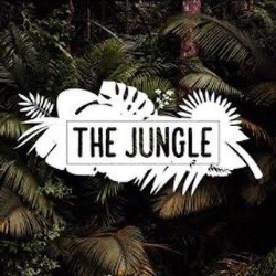 The Jungle Valencia-Valencia-Internet Service Provider-1 The Jungle Valencia-Valencia-Internet Service Provider-1